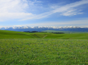 南方清水泵到底有沒(méi)有吸程？