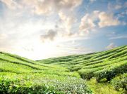 南方水泵的動力大小直接關(guān)系著用水結(jié)果