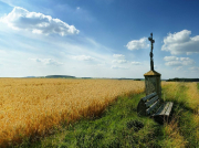 南方水泵軸承一般用的什么油？