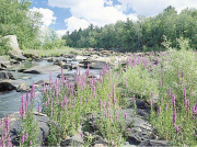 立式離心泵的用途有哪些？